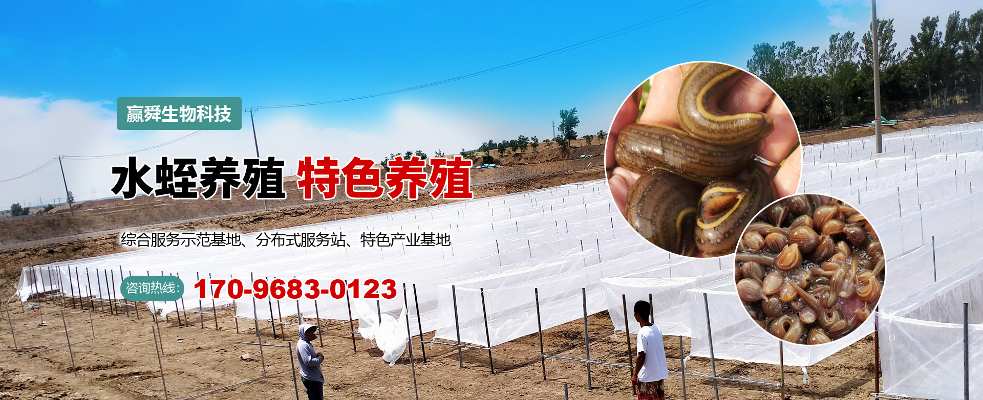 摇钱树娱乐(中国区)有限公司官网