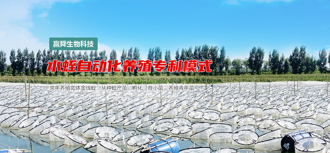 mini-banner1 摇钱树娱乐(中国区)有限公司官网