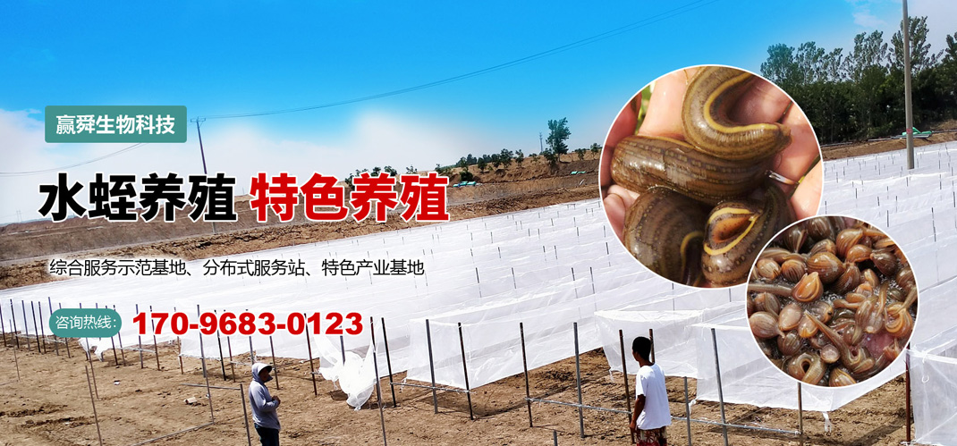 mini-banner2 摇钱树娱乐(中国区)有限公司官网