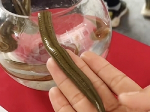 small3_17111956919457792 摇钱树娱乐(中国区)有限公司官网成苗