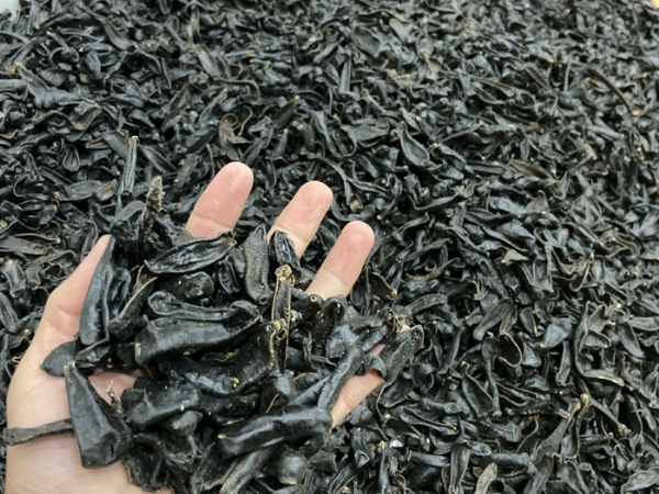 摇钱树娱乐(中国区)有限公司官网制品