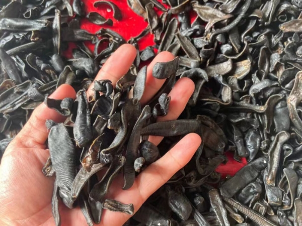 摇钱树娱乐(中国区)有限公司官网制品