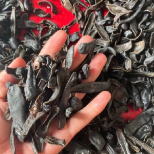摇钱树娱乐(中国区)有限公司官网制品