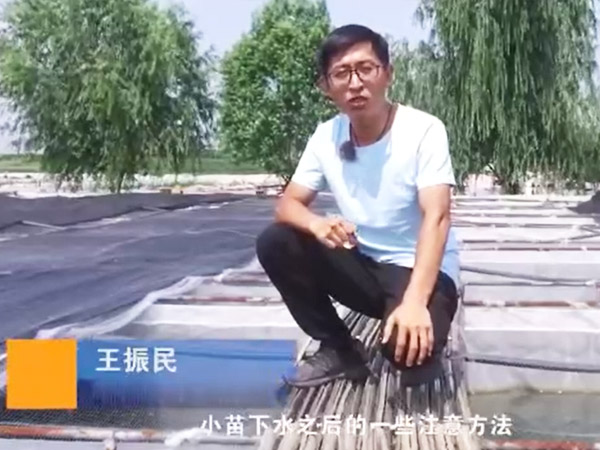 视频展示