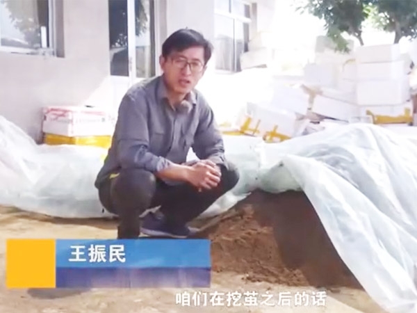 卵化土的调造