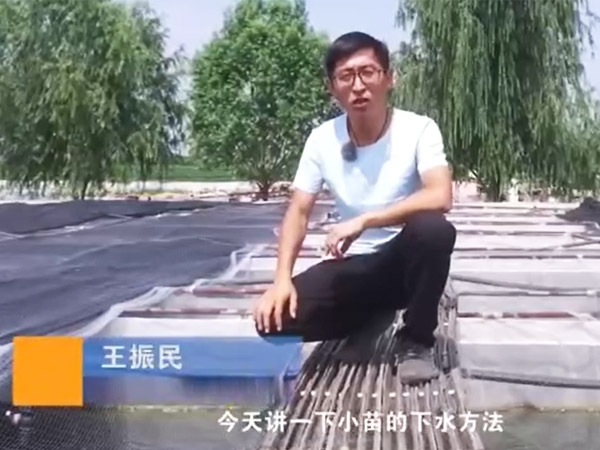 摇钱树娱乐(中国区)有限公司官网幼苗的下水步骤