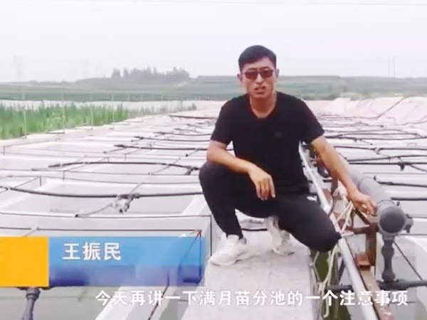 摇钱树娱乐(中国区)有限公司官网满月苗确当苦衷项