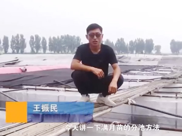摇钱树娱乐(中国区)有限公司官网满月苗的分池步骤