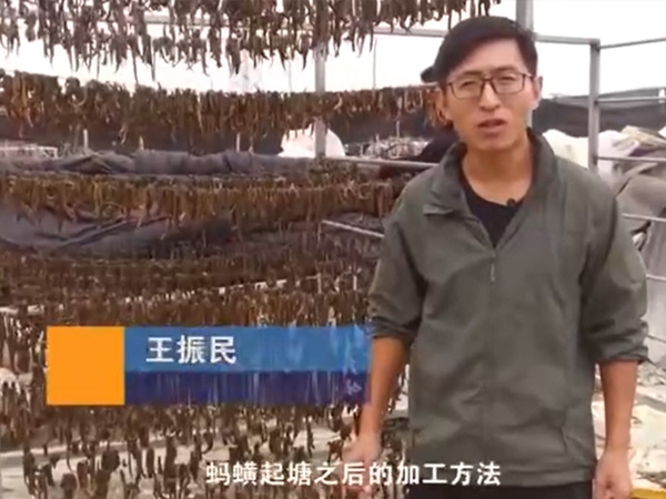 摇钱树娱乐(中国区)有限公司官网加工步骤