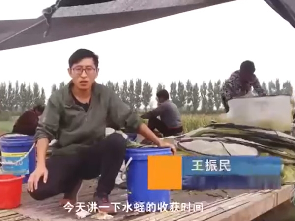 摇钱树娱乐(中国区)有限公司官网收成功夫