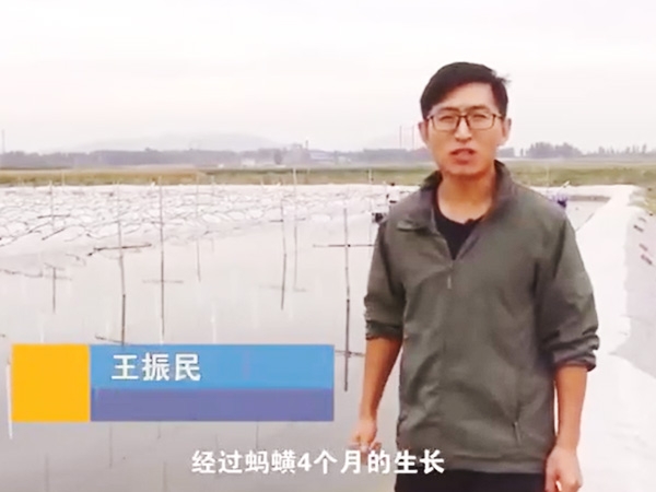 摇钱树娱乐(中国区)有限公司官网收成流程