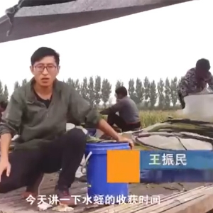 摇钱树娱乐(中国区)有限公司官网收成功夫