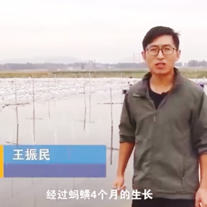摇钱树娱乐(中国区)有限公司官网收成流程