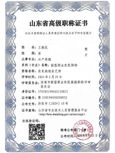 small3_17431330931894529 山东省高级职称证书